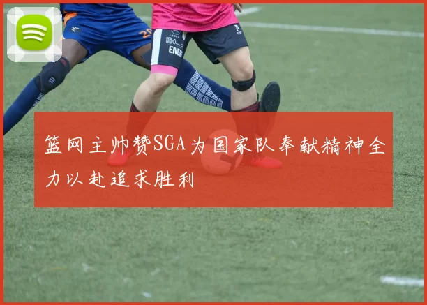 篮网主帅赞SGA为国家队奉献精神全力以赴追求胜利