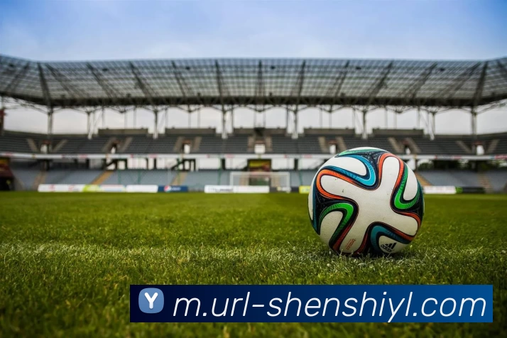 盛世娱乐品牌故事