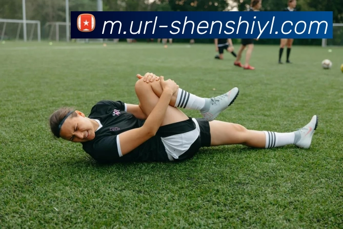 盛世娱乐服务体系