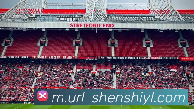 多媒体互动体验